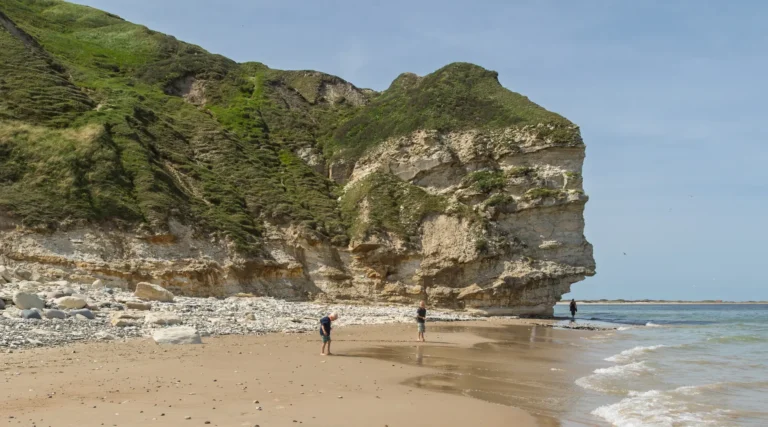 Bulbjerg – the bird cliff of Jutland