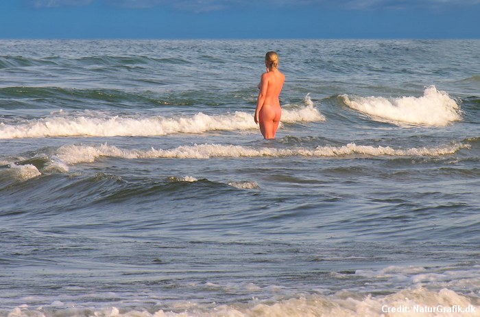 700px x 462px - Go for a swim â€“ without wearing swimwear? | Wild About Denmark