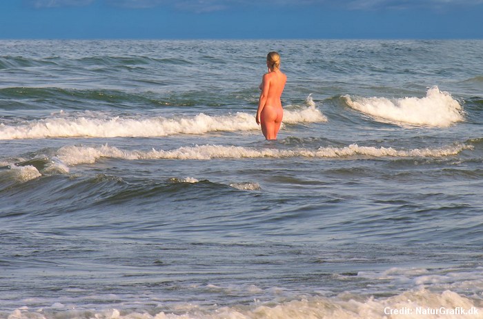 Nudist Beaches Vacation - Go for a swim â€“ without wearing swimwear? | Wild About Denmark