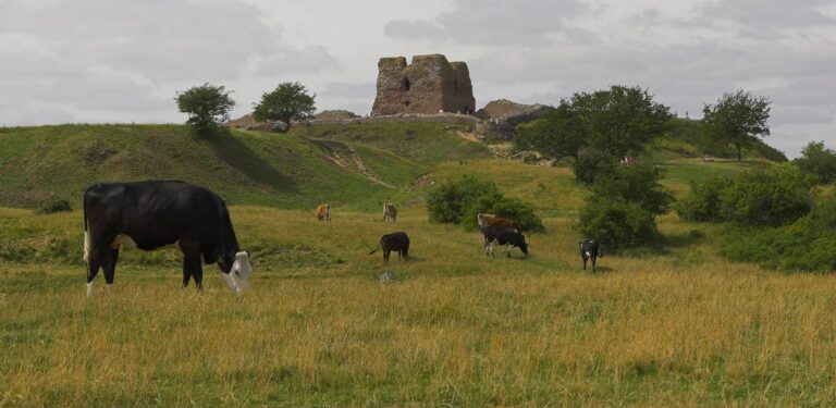Enjoy the Danish countryside