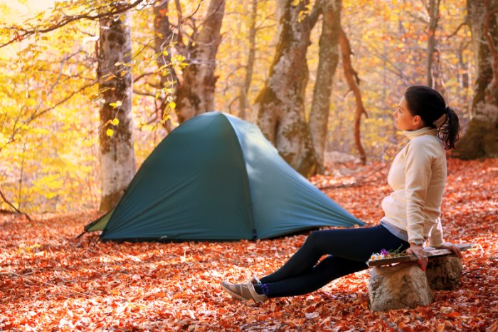 Set up a tent in Denmark