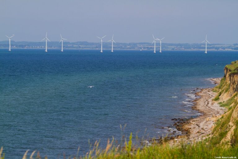 At the top of the list among the most sustainable countries on Earth