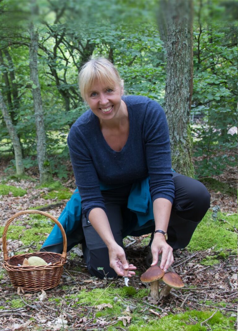 Foraging in the Wild