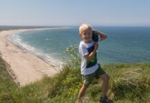Danish Shores